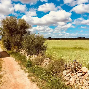 Ferienhaus Arthouse Mit Haus Galeria 110qm Und Appartementhaus Mit Patio 30qm, Campos (Mallorca)